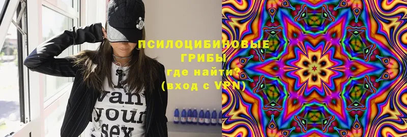 где купить наркоту  Кимры  Галлюциногенные грибы Cubensis 